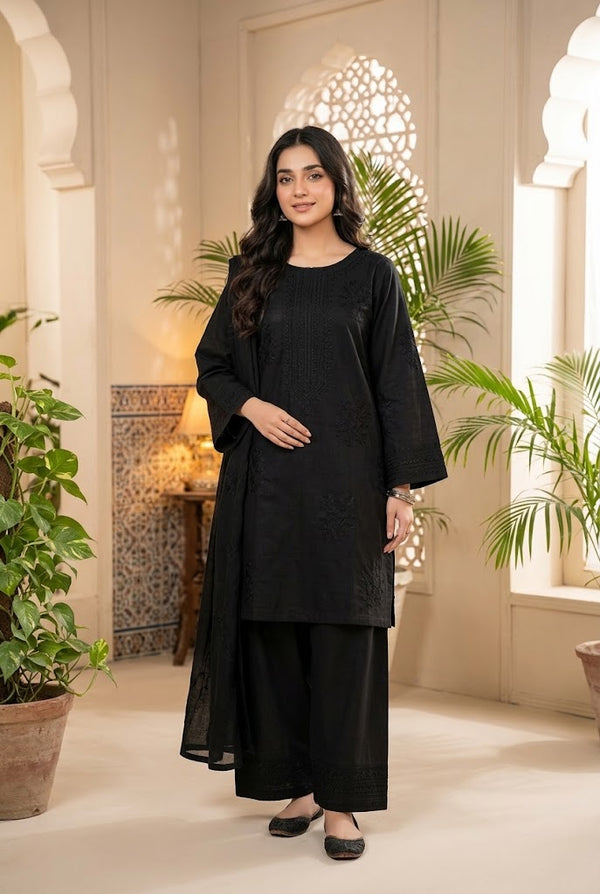 2Pc Stitched Embroidered Suit - black
