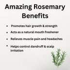digibazar:product.image:72396
