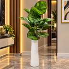 digibazar:product.image:114437