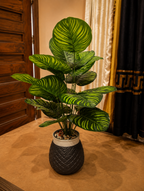digibazar:product.image:111523
