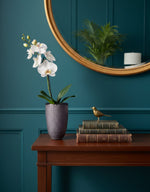 digibazar:product.image:73732