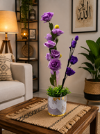 digibazar:product.image:113631