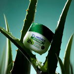 digibazar:product.image:23820