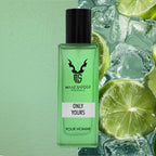 digibazar:/products/web_0098f994-dfb9-444e-b14e-520121c44f3e.jpg