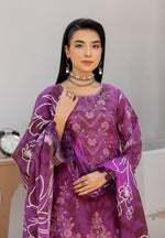 digibazar:/products/web_086bc8bc-1f22-4fc1-bead-cc4c62916dbd.jpg