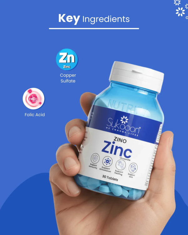 digibazar:/products/web_20712a86-ed18-4530-9a16-db6fafac8e77.png