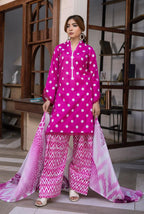 digibazar:/products/web_34096891-c0ba-442c-b2f7-a5cb14b2b913.jpg