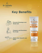 digibazar:/products/web_64d05e4e-de6d-409c-8a3d-7c983cb6010a.jpg