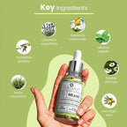 digibazar:/products/web_a3048963-7eac-4434-ae13-938b36ff4f09.jpg