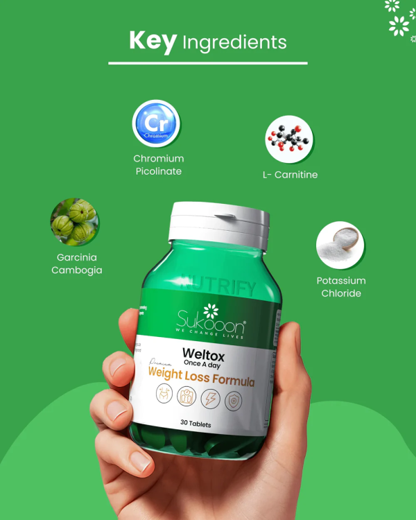 digibazar:/products/web_b801fc37-ffa1-490b-9749-87deef16ace0.png