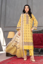digibazar:/products/web_c868ec6b-4724-4a8c-9ed4-a8082d13be8a.jpg